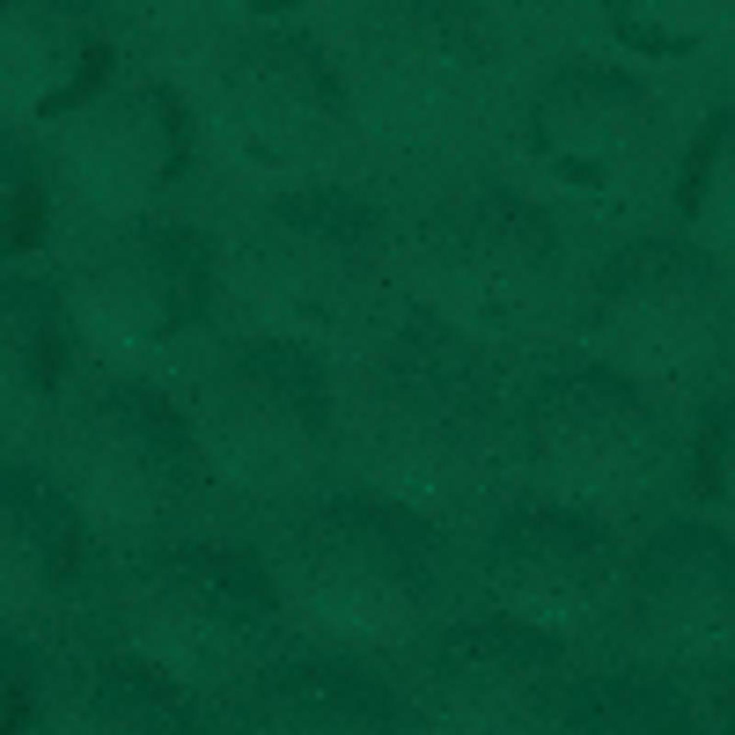Big Green Egg 18.25 in. Large Charcoal Grill and Smoker Green