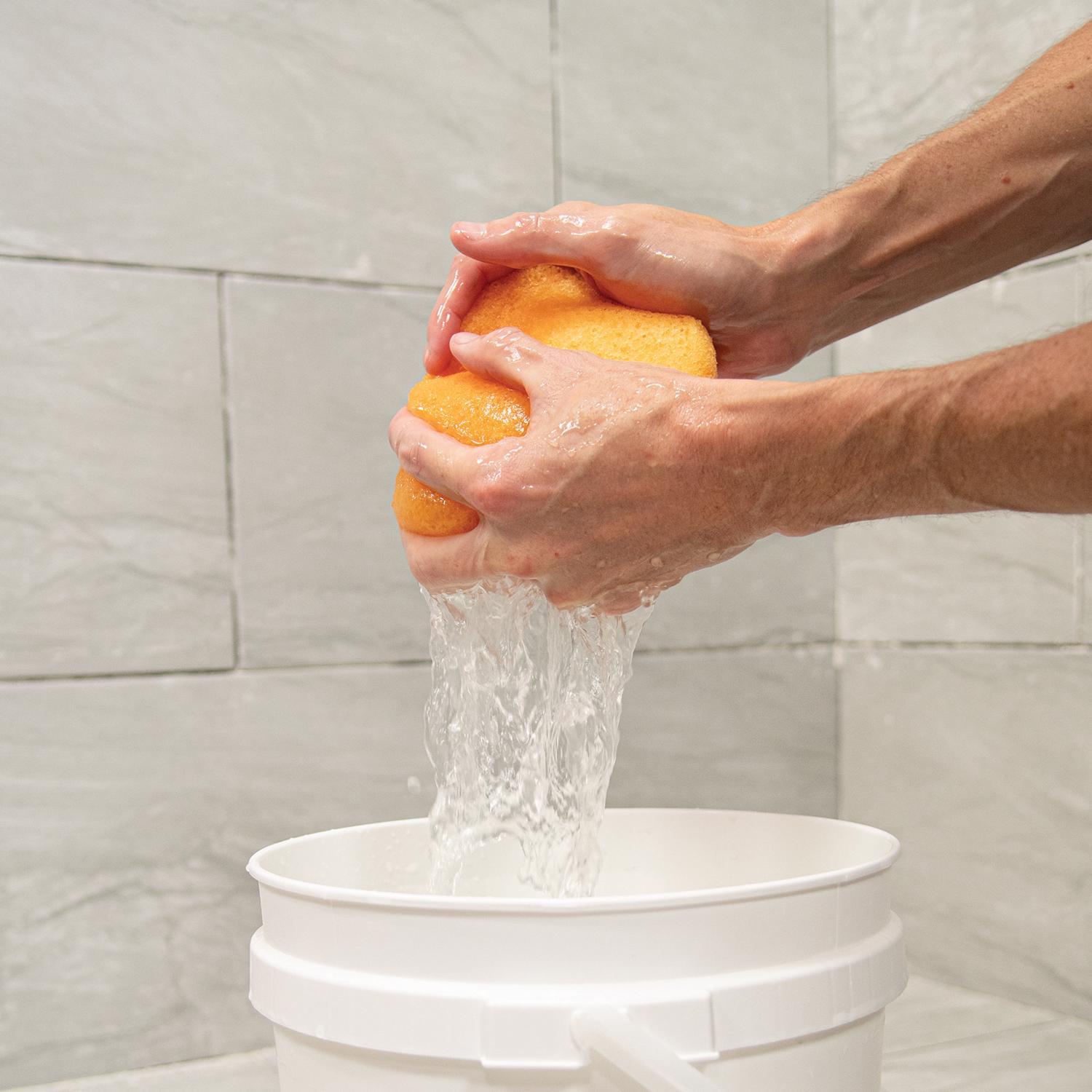 QEP Heavy Duty Sponge For All Purpose 7-1/2 in. L 6 pk