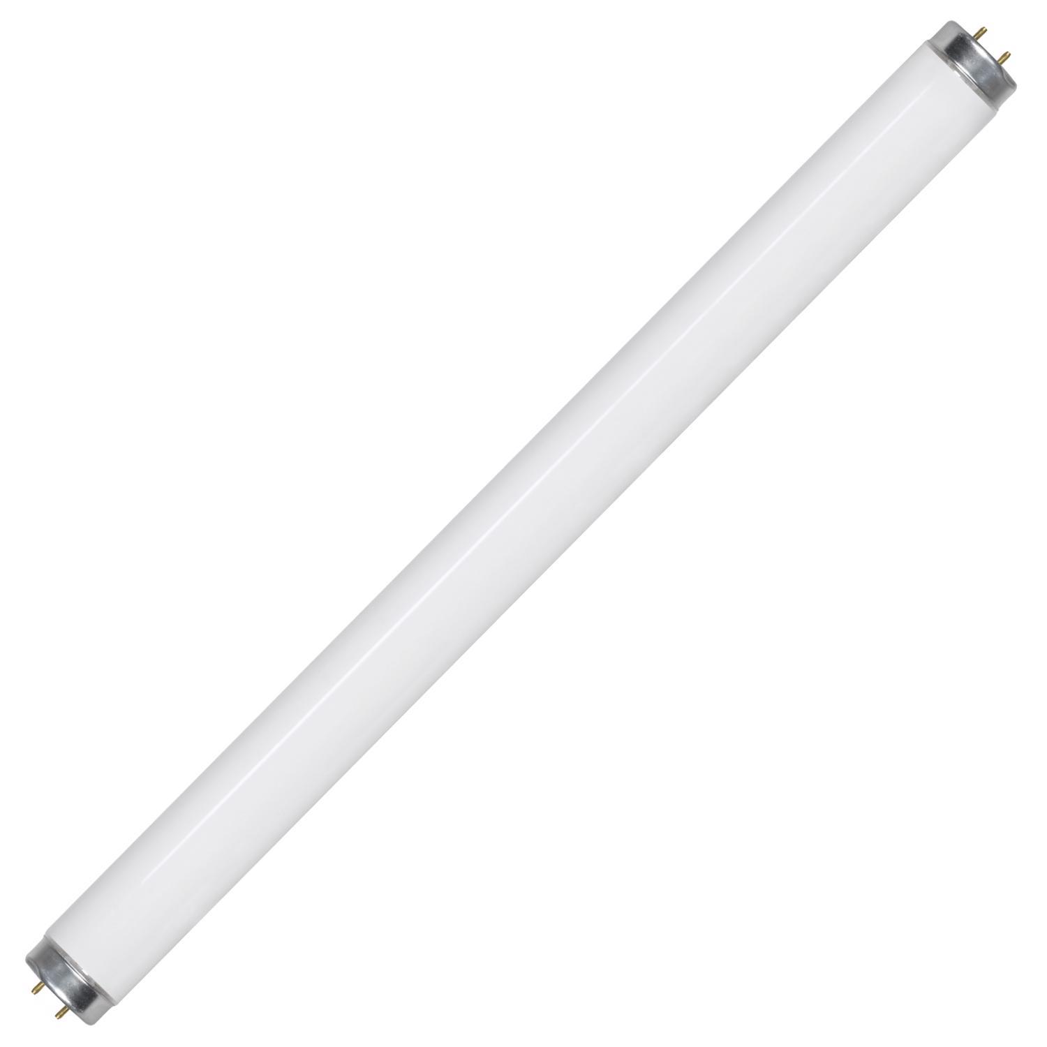 Feit Electric 20 watt 1.5 in. Dia. x 24 in. L Fluorescent Bulb Cool White Linear 2 pk