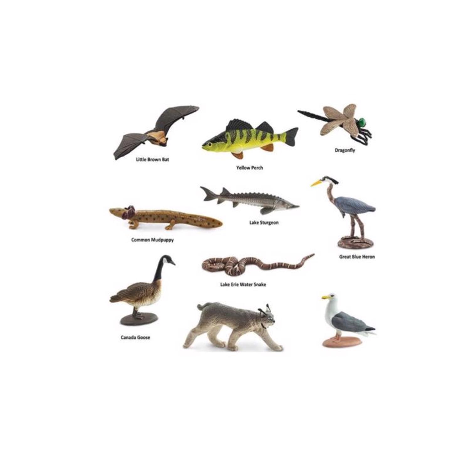 Safari Ltd. Toobs Great Lakes Figure Multicolor 10 pc