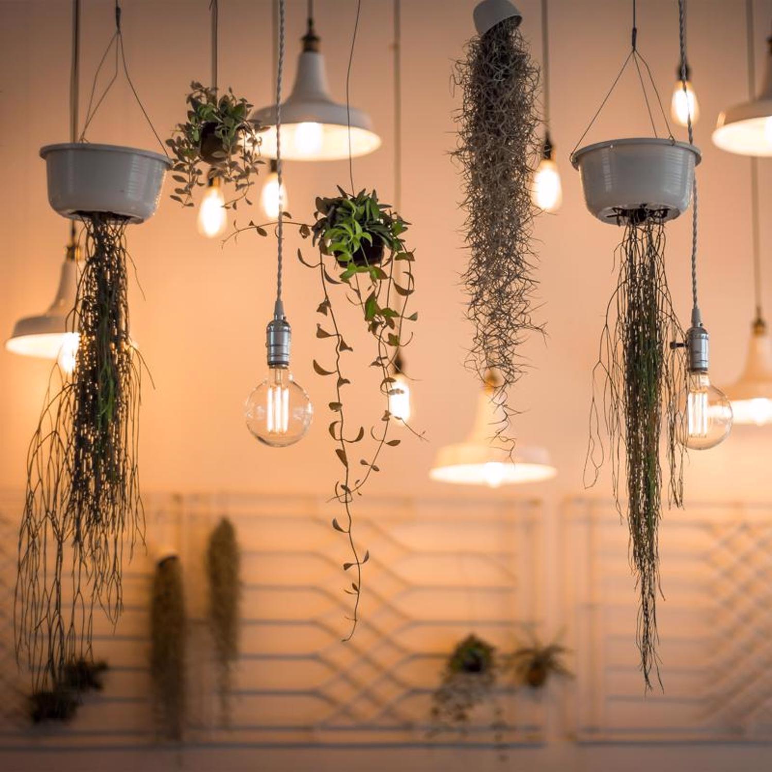 Feit G25 E26 (Medium) Filament LED Bulb Smoke Daylight 40 Watt Equivalence 1 pk