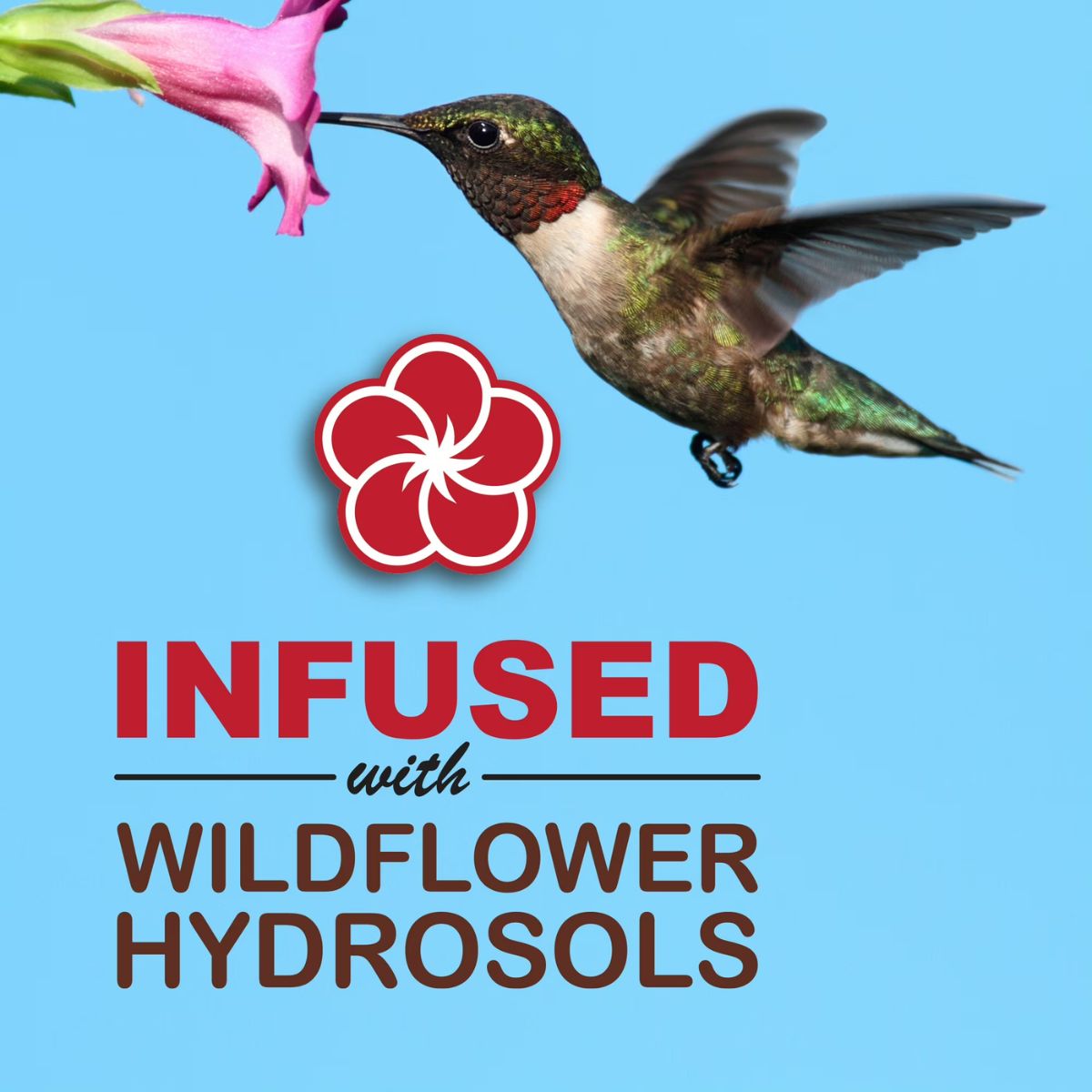 Sweet-Seed Sweet-Nectar Ready-to-Use Hummingbird Nectar, Dye-Free, 50.7 fl oz. Pouch