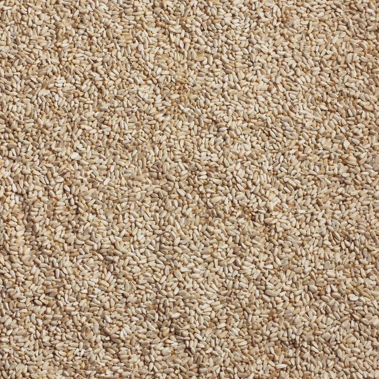 Ace Wild Bird Food 10 lb
