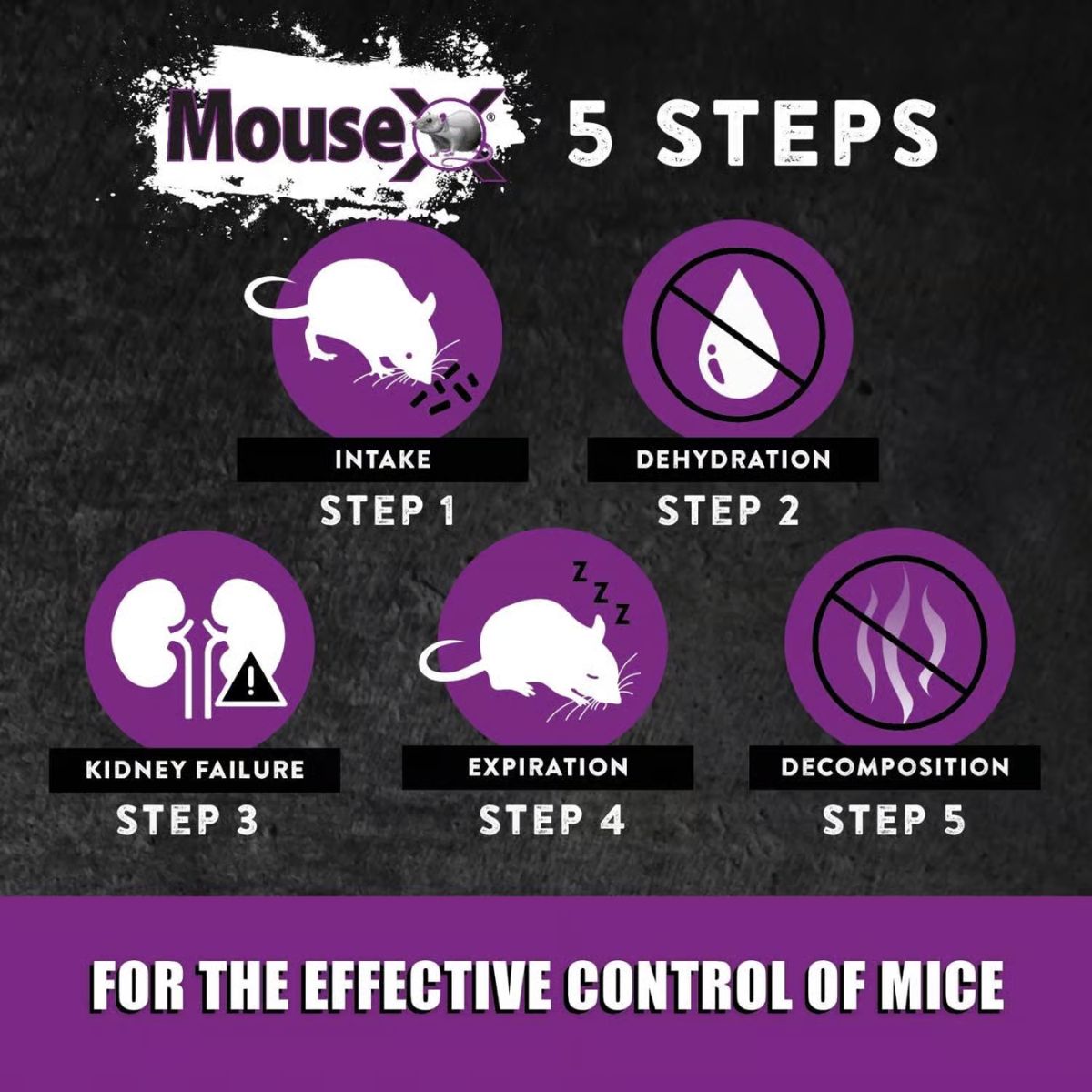 MouseX Non-Toxic Bait Pellet Throw Pack For Mice 12 oz. 6 Pack
