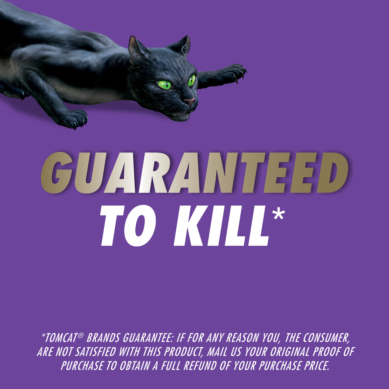 Tomcat Advanced Bait Station and Bait Blocks For Rats 1 pk