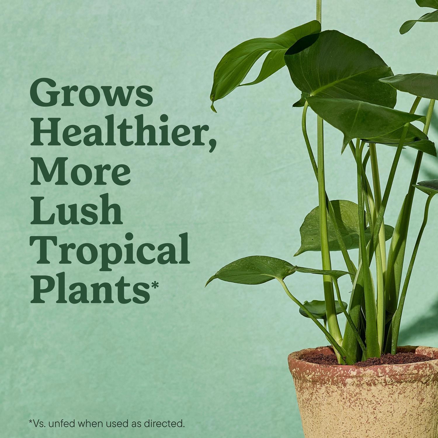 Miracle-Gro Tropical Cacti, Citrus and Palm Potting Mix 6 qt