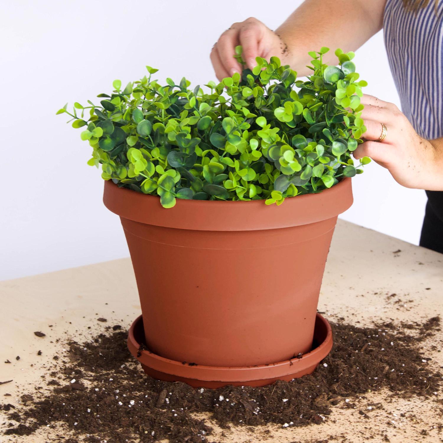 Bloem Terra 8.5 in. H X 10.75 in. W Resin Traditional Planter Terracotta Clay