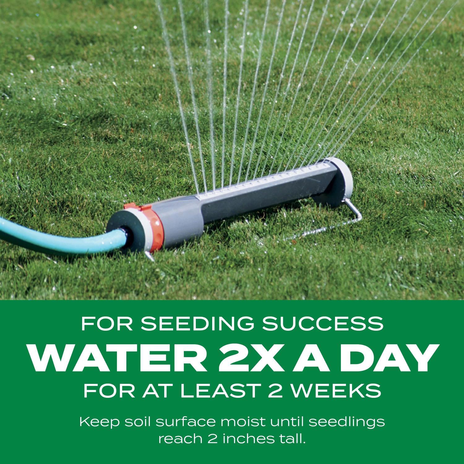 Scotts Turf Builder ThickR Bermuda Grass Sun or Shade Grass Seed and Fertilizer 12 lb