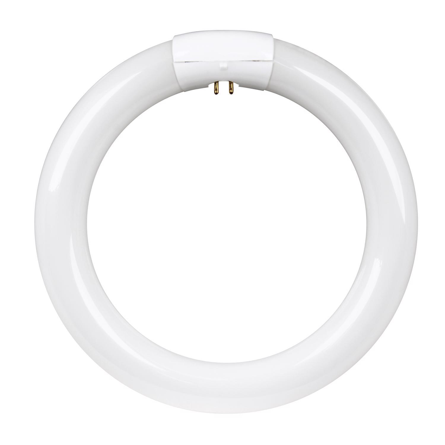 Feit Legacy Bulbs 22 W T9 8.3 in. D X 8.3 in. L Circline Fluorescent Bulb Cool White Circular 4100 K