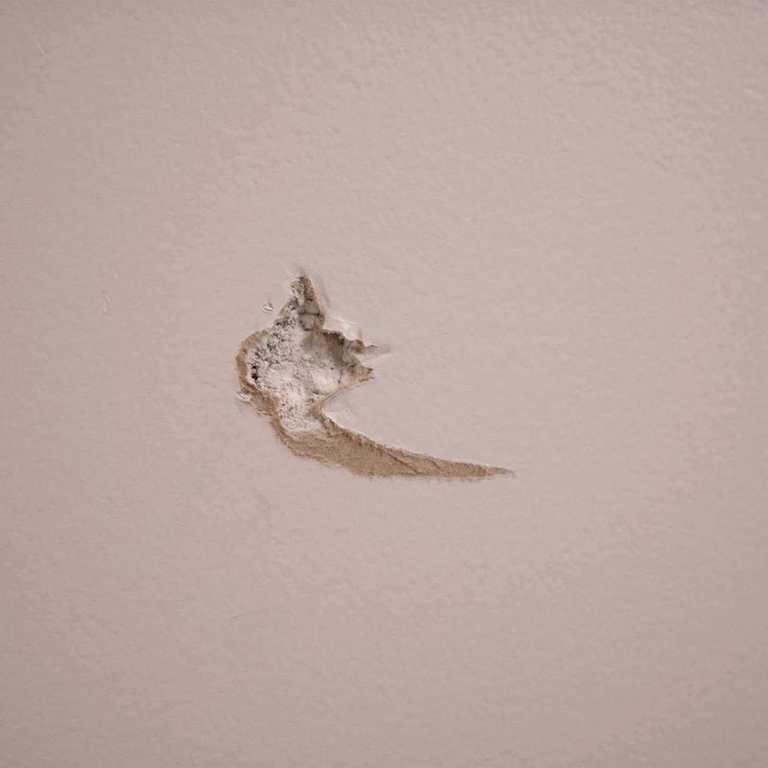 DAP Alex Plus Ready to Use White Spackling Compound 1 gal