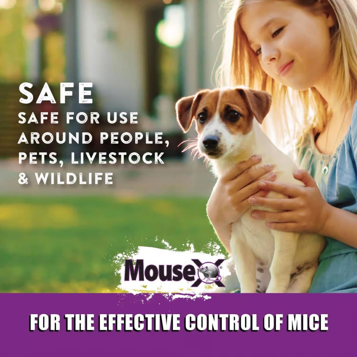 MouseX Non-Toxic Bait Pellet Throw Pack For Mice 12 oz. 6 Pack