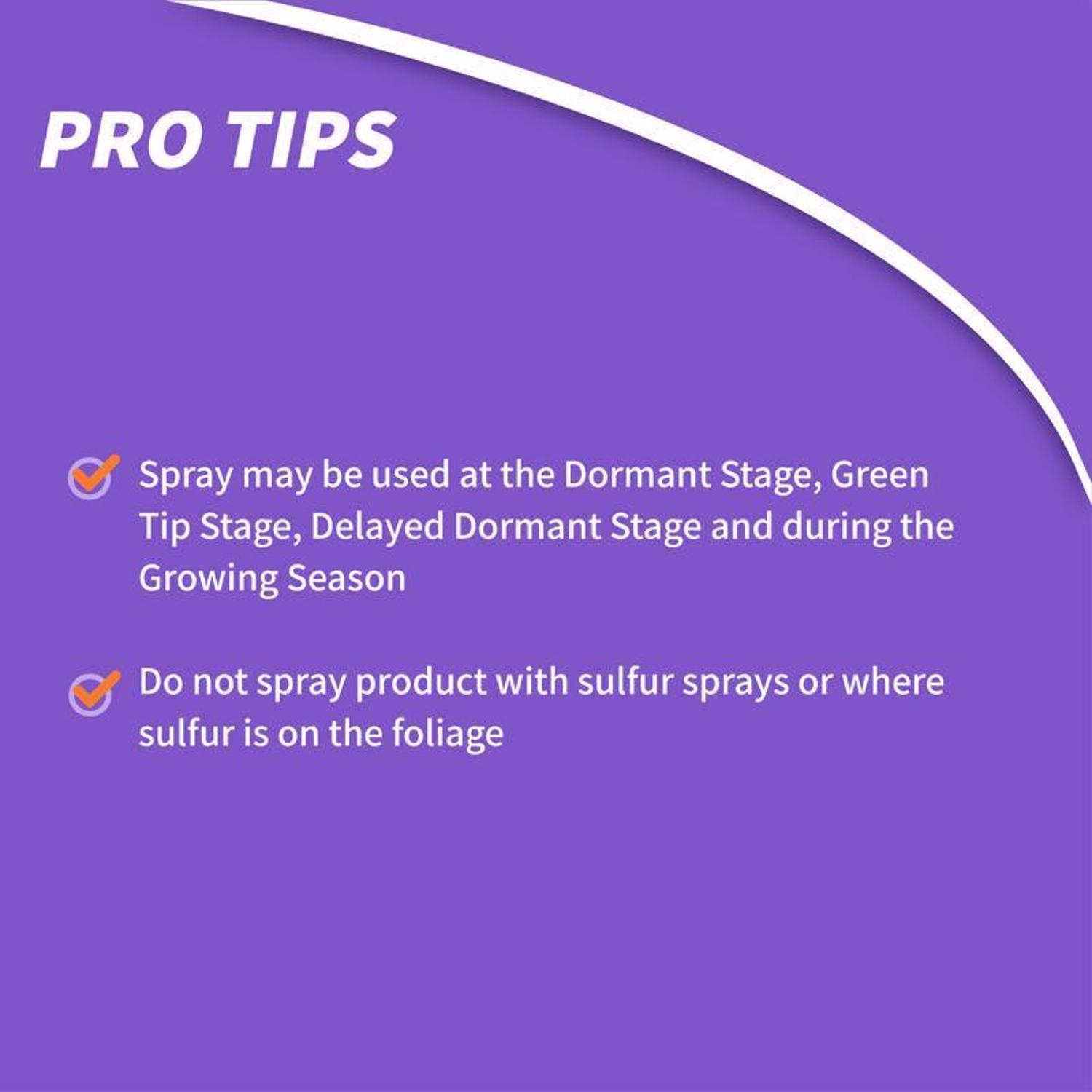 Bonide All seasons Organic Horticultural Spray Oil Liquid 32 oz