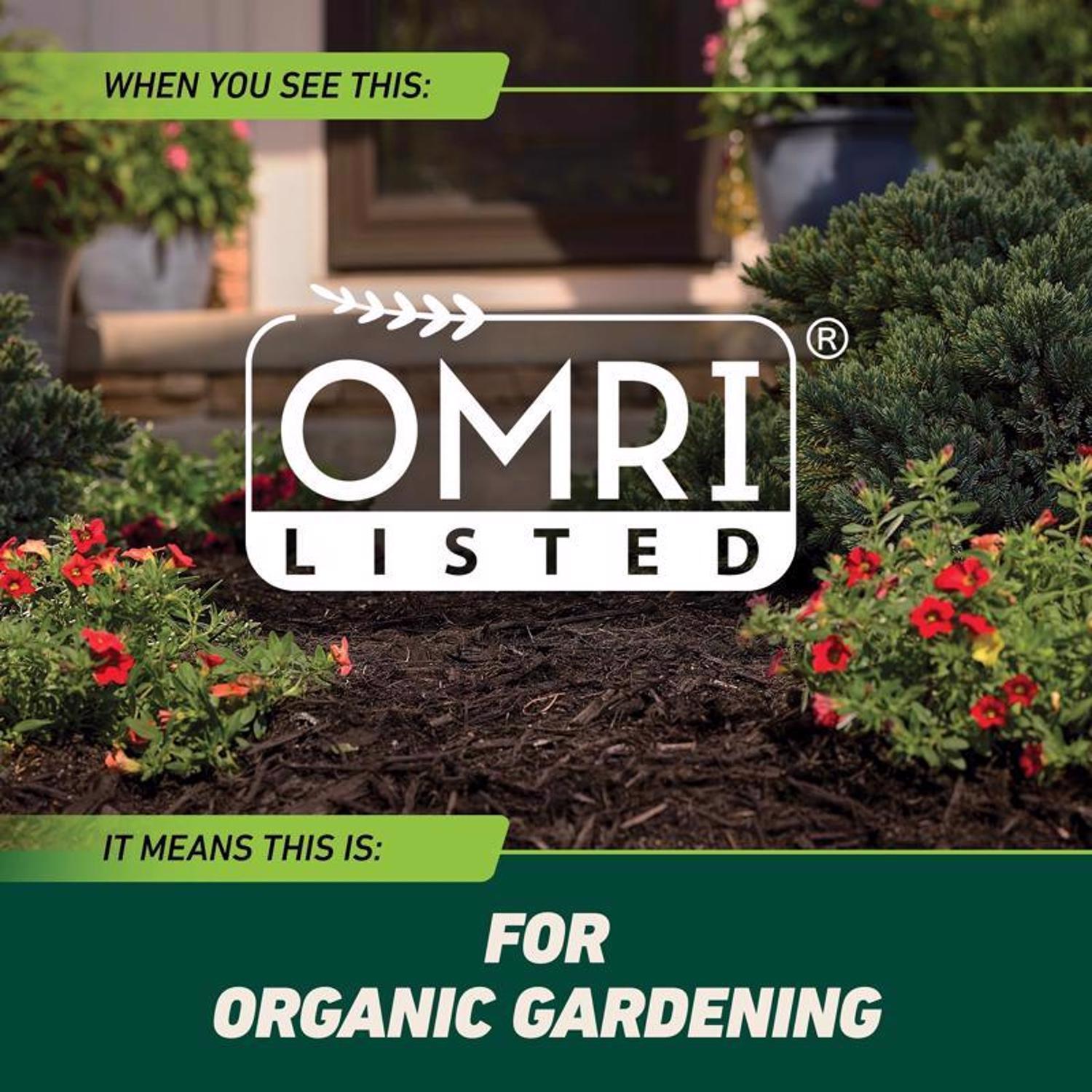 Ortho GroundClear Weed and Grass Killer RTU Liquid 1 gal