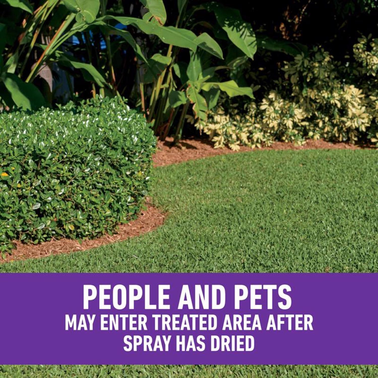 Roundup Weed Killer Concentrate 32 oz