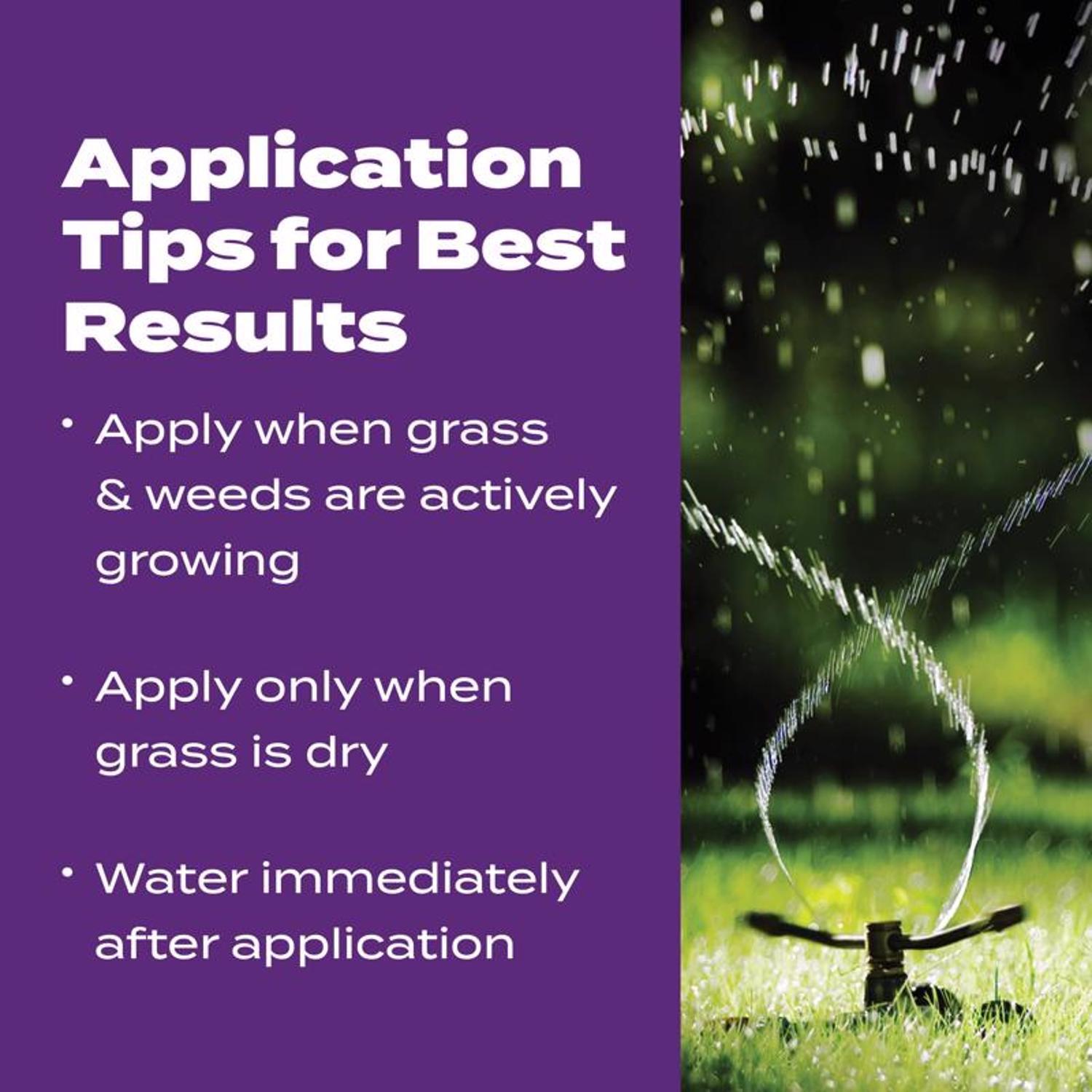 Scotts Turf Builder Bonus S Weed & Feed Southern Lawn Food For Multiple Grass Types 5000 sq ft