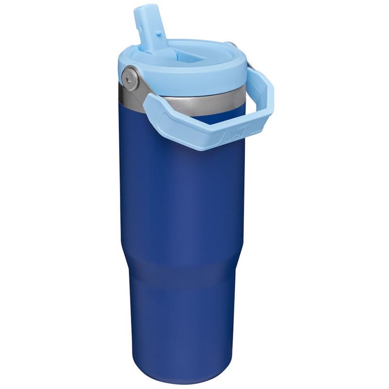Stanley IceFlow 30 oz Lapis BPA Free Insulated Straw Tumbler