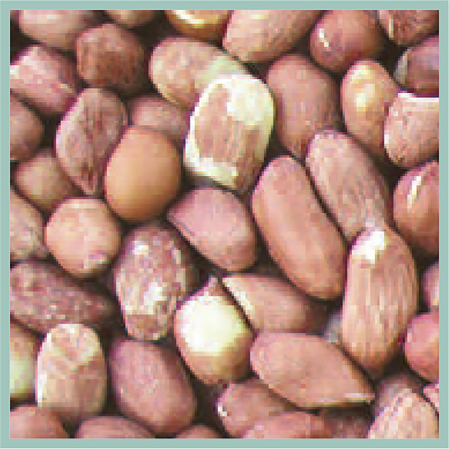Cole's Wild Bird Food 5 lb