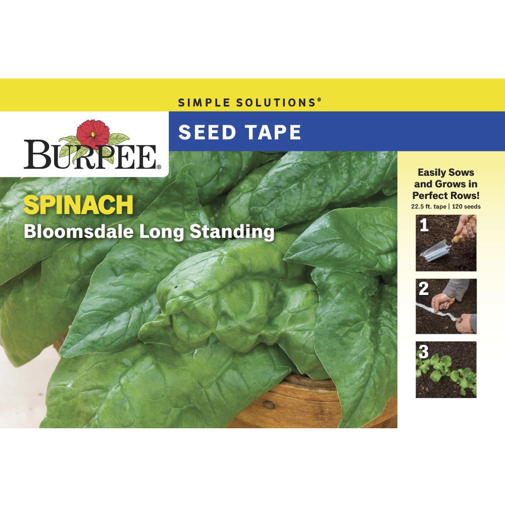 Burpee Bloomsdale Long Standing Spinach Vegetable Seeds