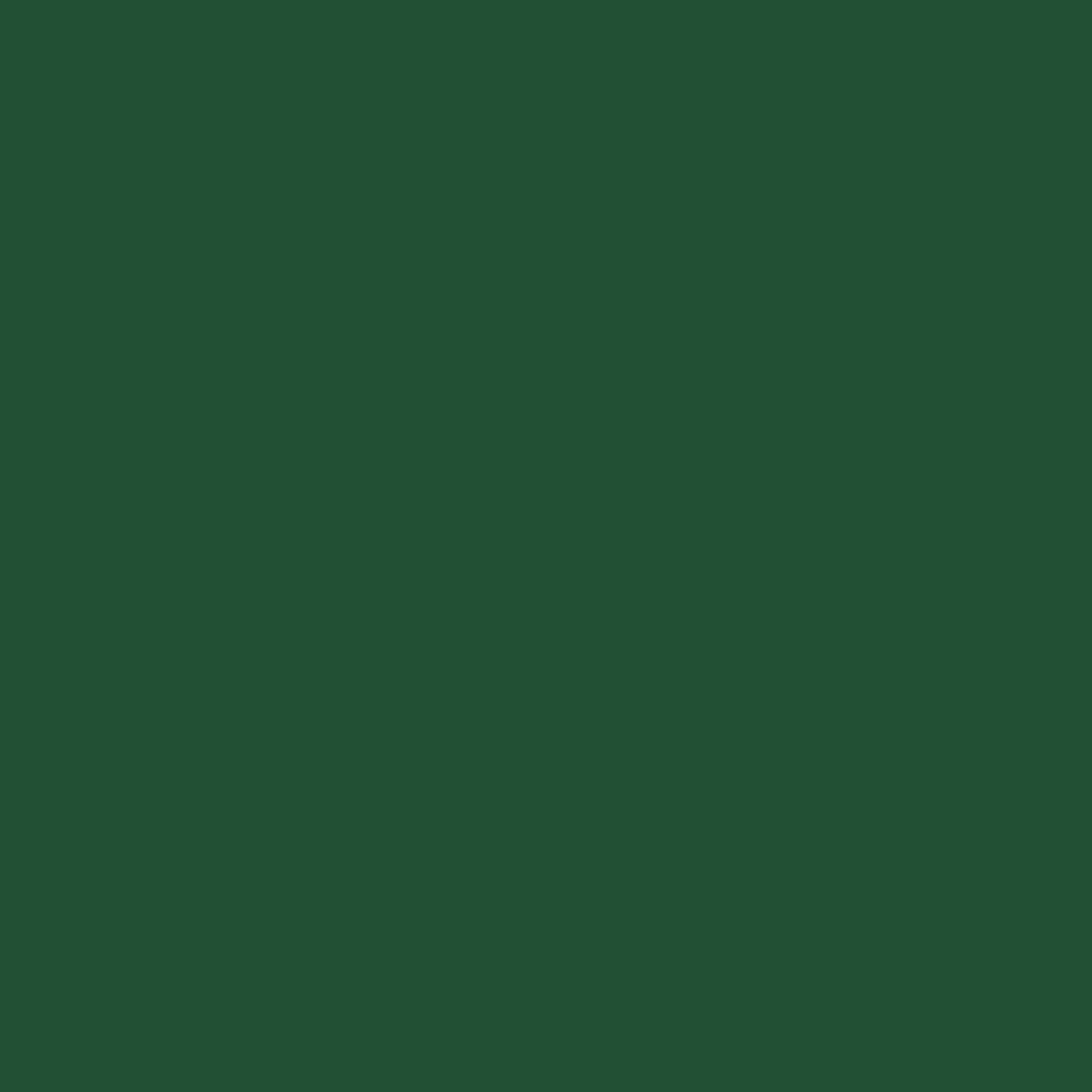 Ace Premium Gloss Deep Forest Paint + Primer Enamel Spray 12 oz