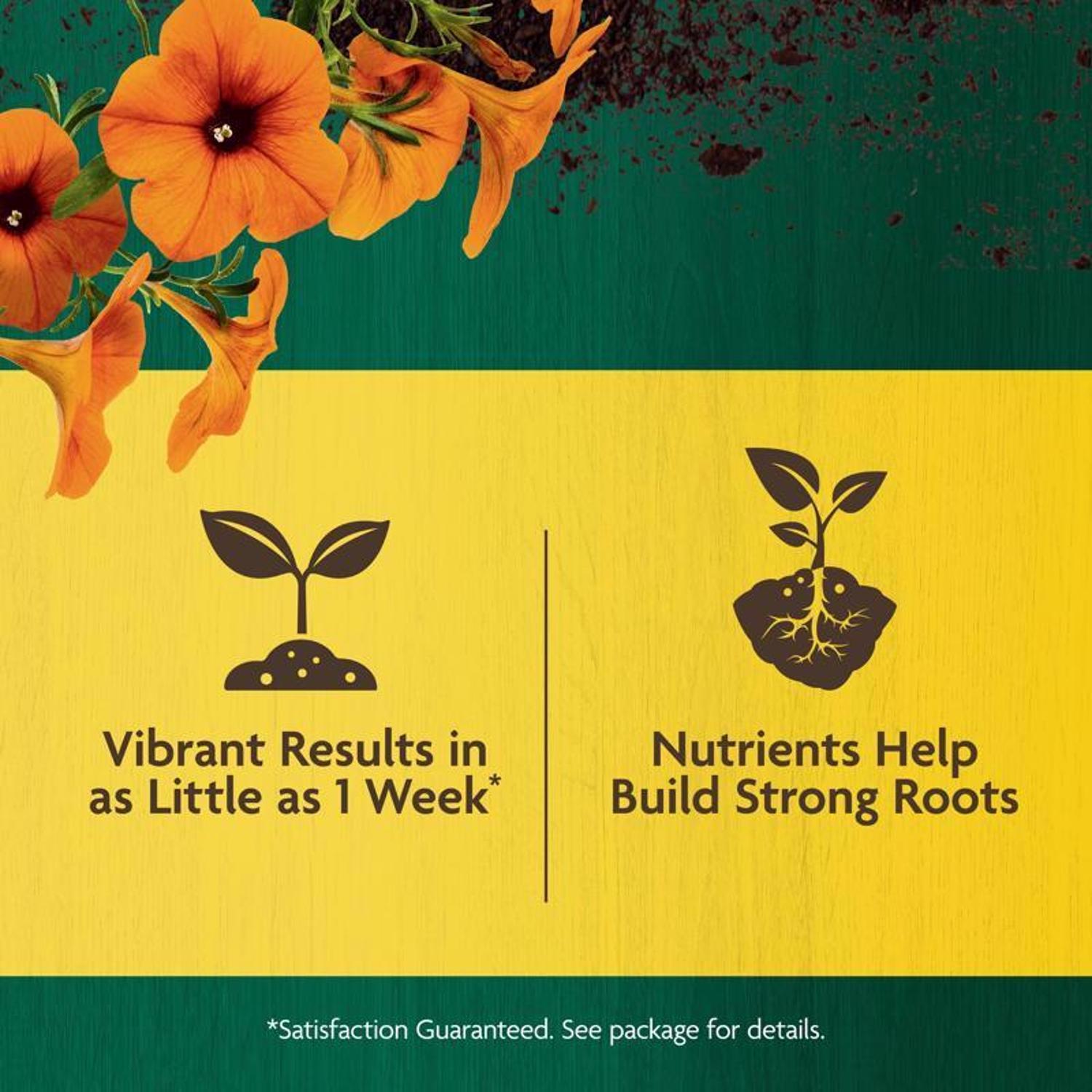 Miracle-Gro Organic Granules Plant Food 3 lb