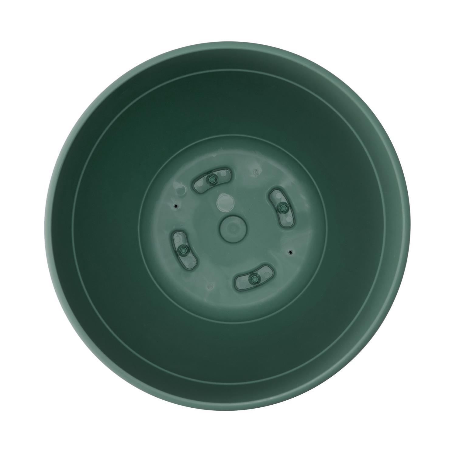 Bloem Dayton 5.75 in. H X 6 in. W X 6 in. D X 6 in. D Plastic Planter Turtle Green