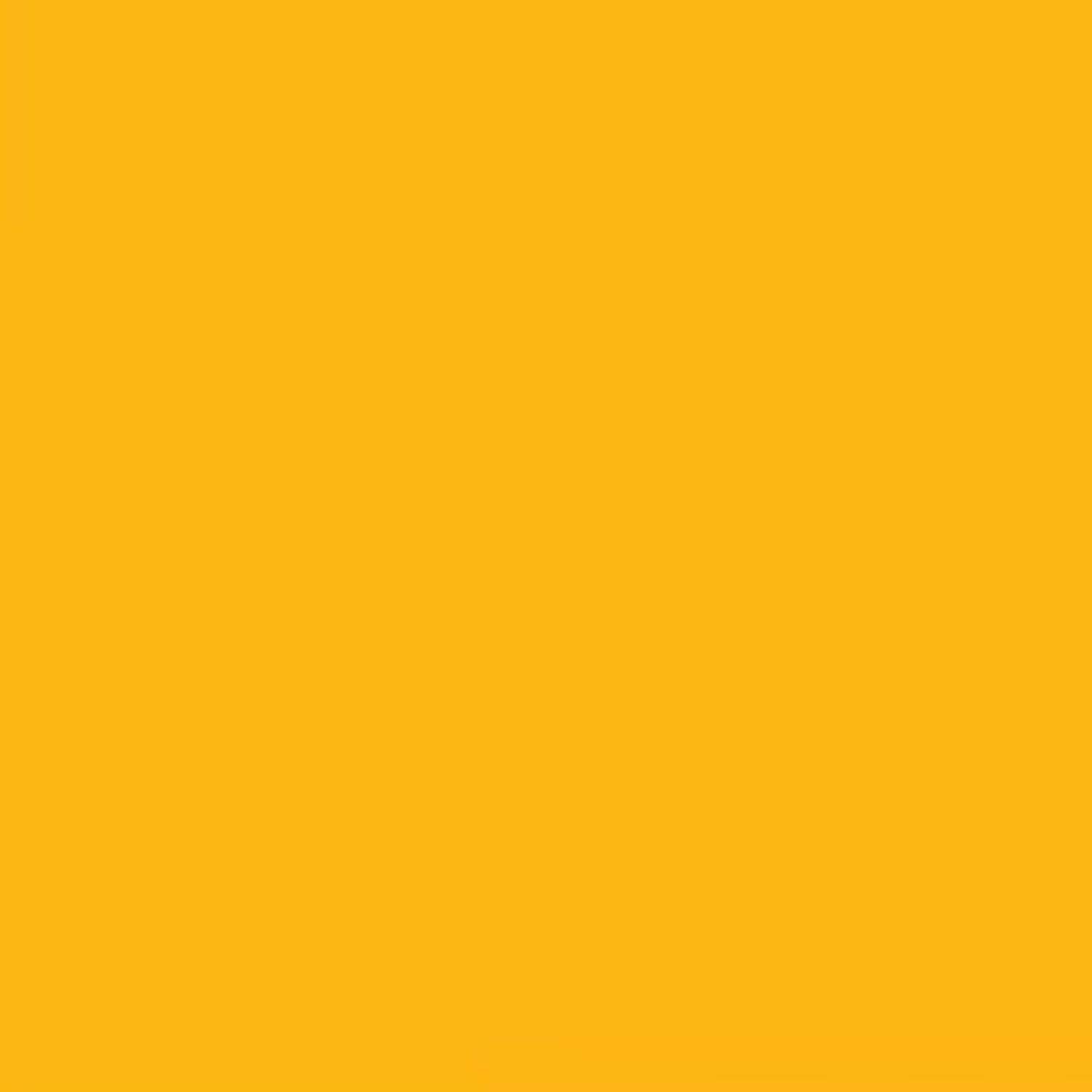 Rust-Oleum Painter's Touch 2X Ultra Cover Gloss Marigold Spray Paint 12 oz