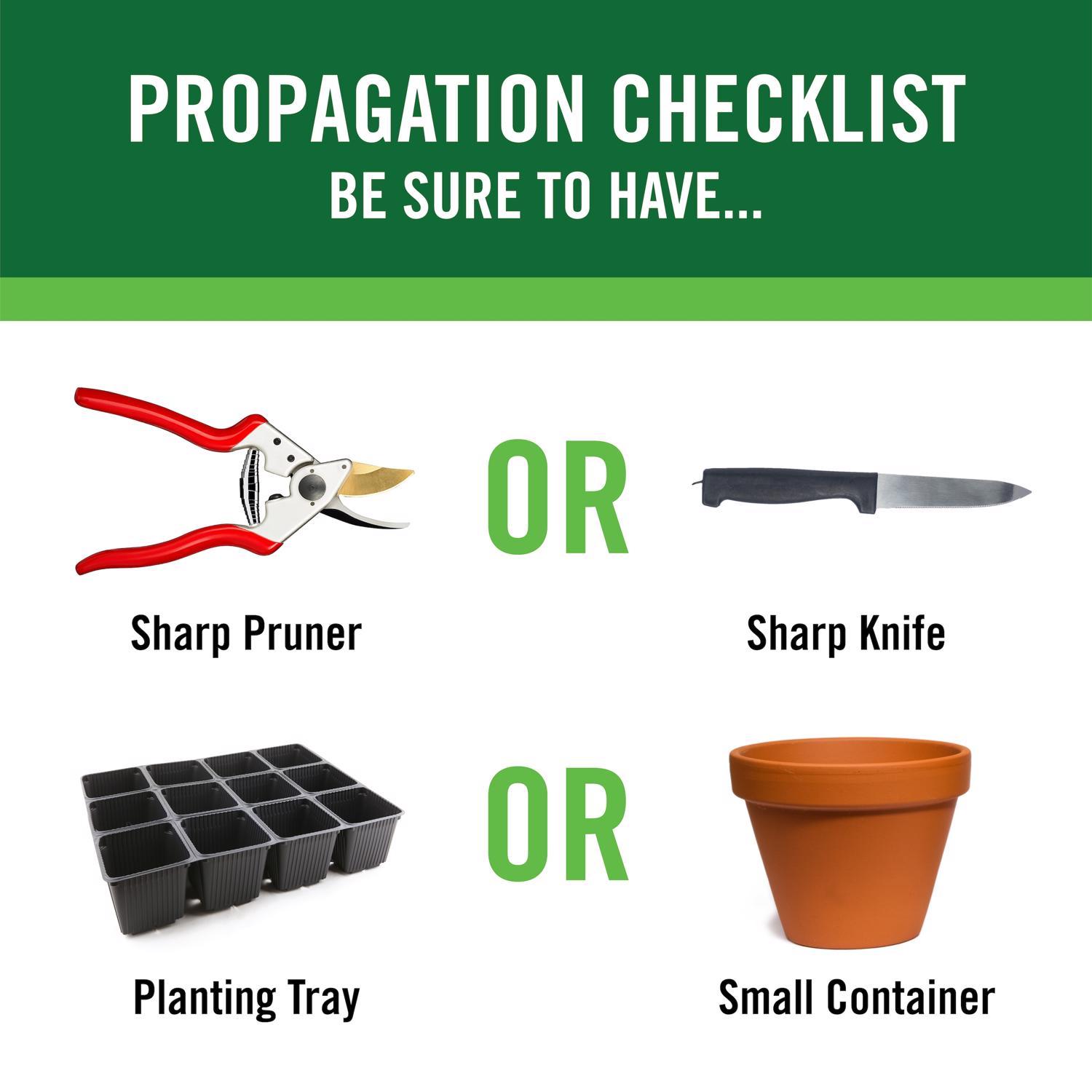 GardenTech RootBoost Powder Rooting Hormone 2 oz