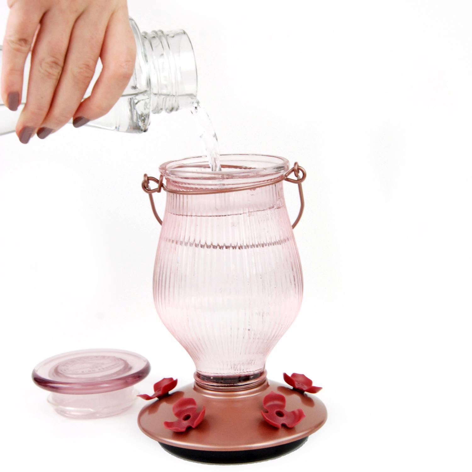 Perky-Pet Hummingbird 24 oz Glass Top-Fill Nectar Bird Feeder 5 ports