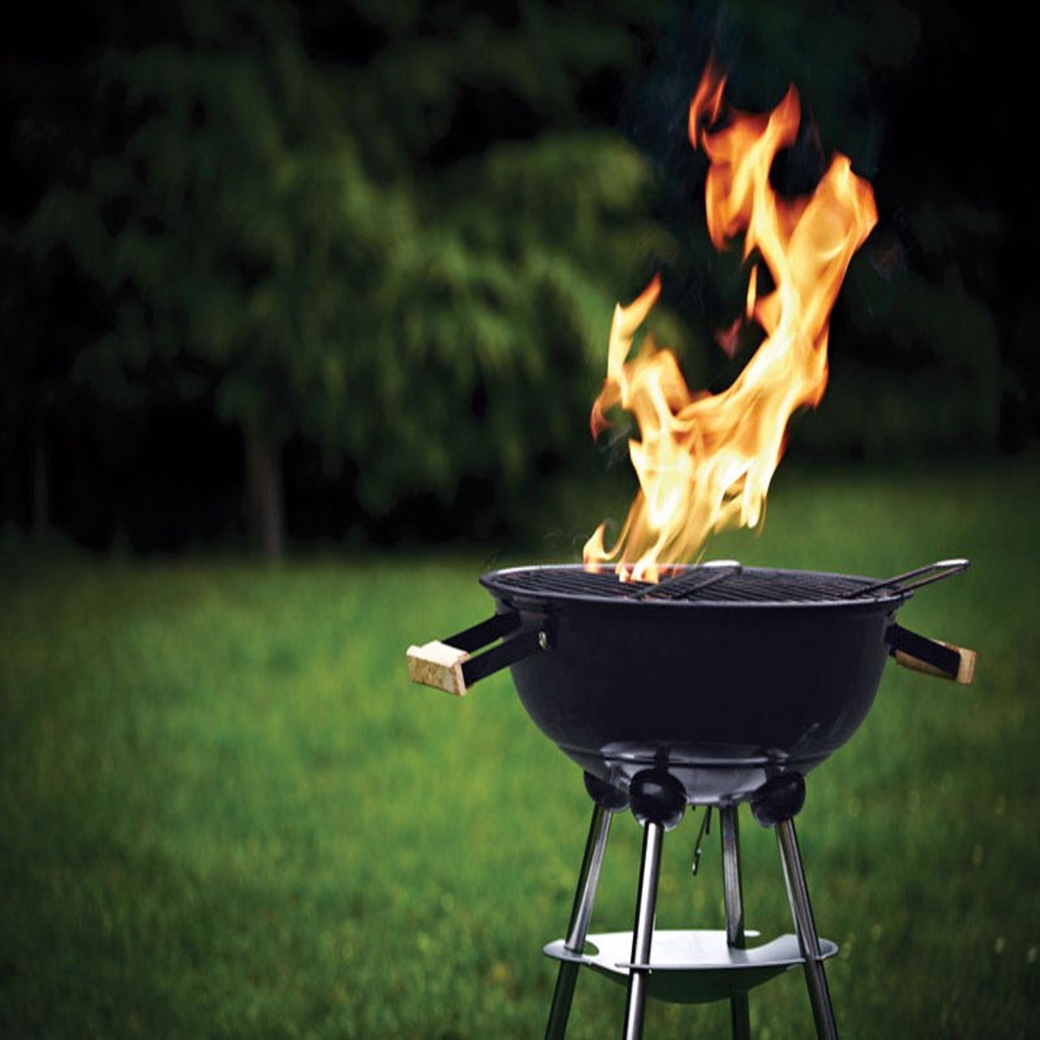 Ace Rust Stop Barbeque BBQ Black Protective Enamel Spray Paint 15