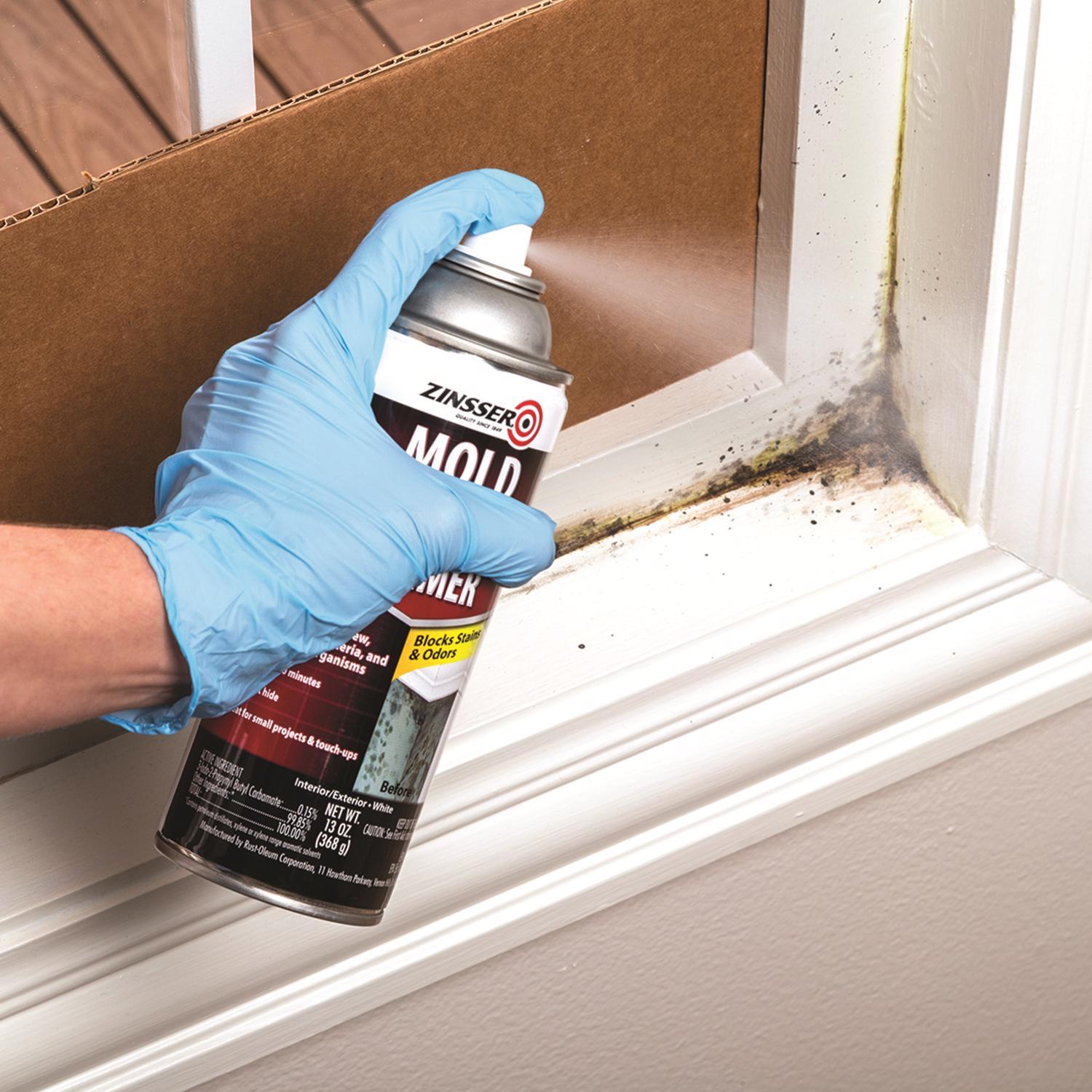 Zinsser Mold Blocking White Water-Based Alkyd Spray Primer 13 oz