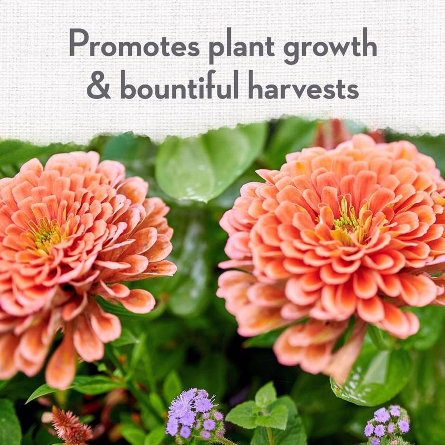 Whitney Farms Organic Granules All Purpose Plant Food 4 lb.