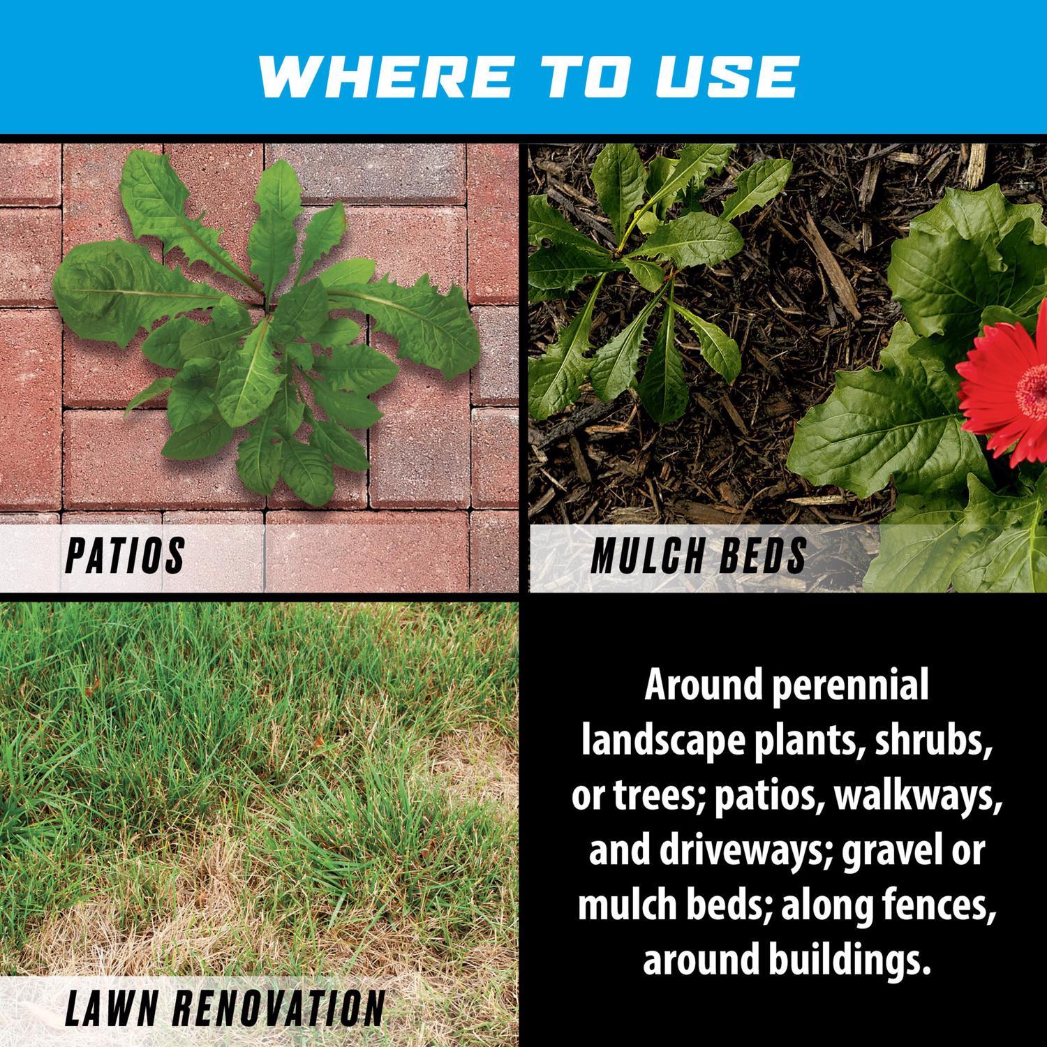 Ortho GroundClear Weed and Grass Killer RTU Liquid 1 gal