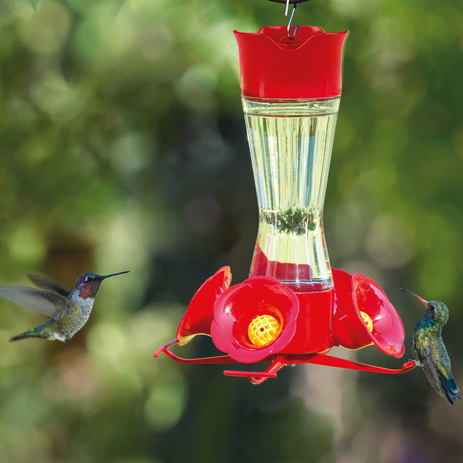 Perky-Pet Hummingbird 8 oz Glass/Plastic Pinch-Waist Nectar Feeder 4 ports
