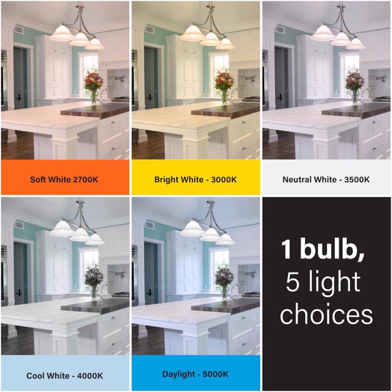 Feit A21 E26 (Medium) LED Bulb Adjustable White 100 Watt Equivalence 2 pk