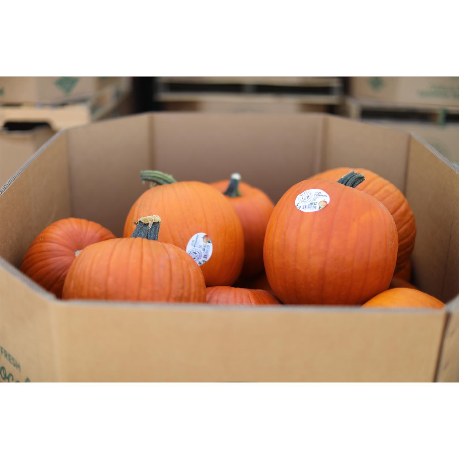 Frey Farms Sarah's Home Grown Orange Pumpkin