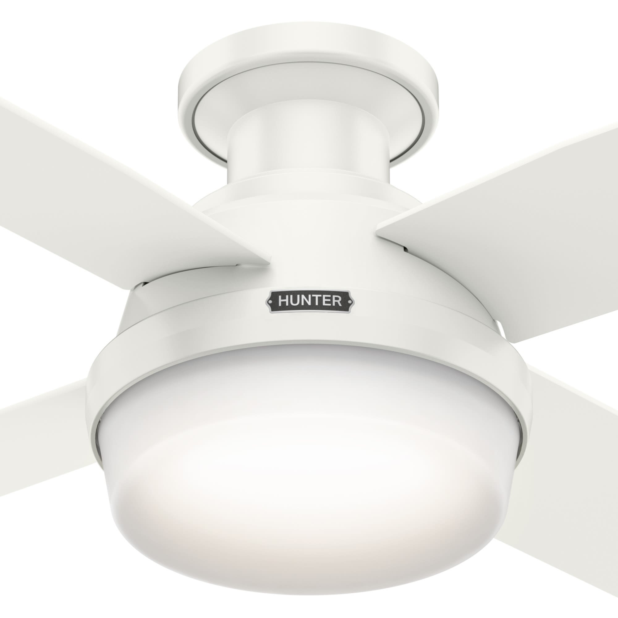 Hunter Dempsey 44 in. Snow White White LED Indoor Ceiling Fan