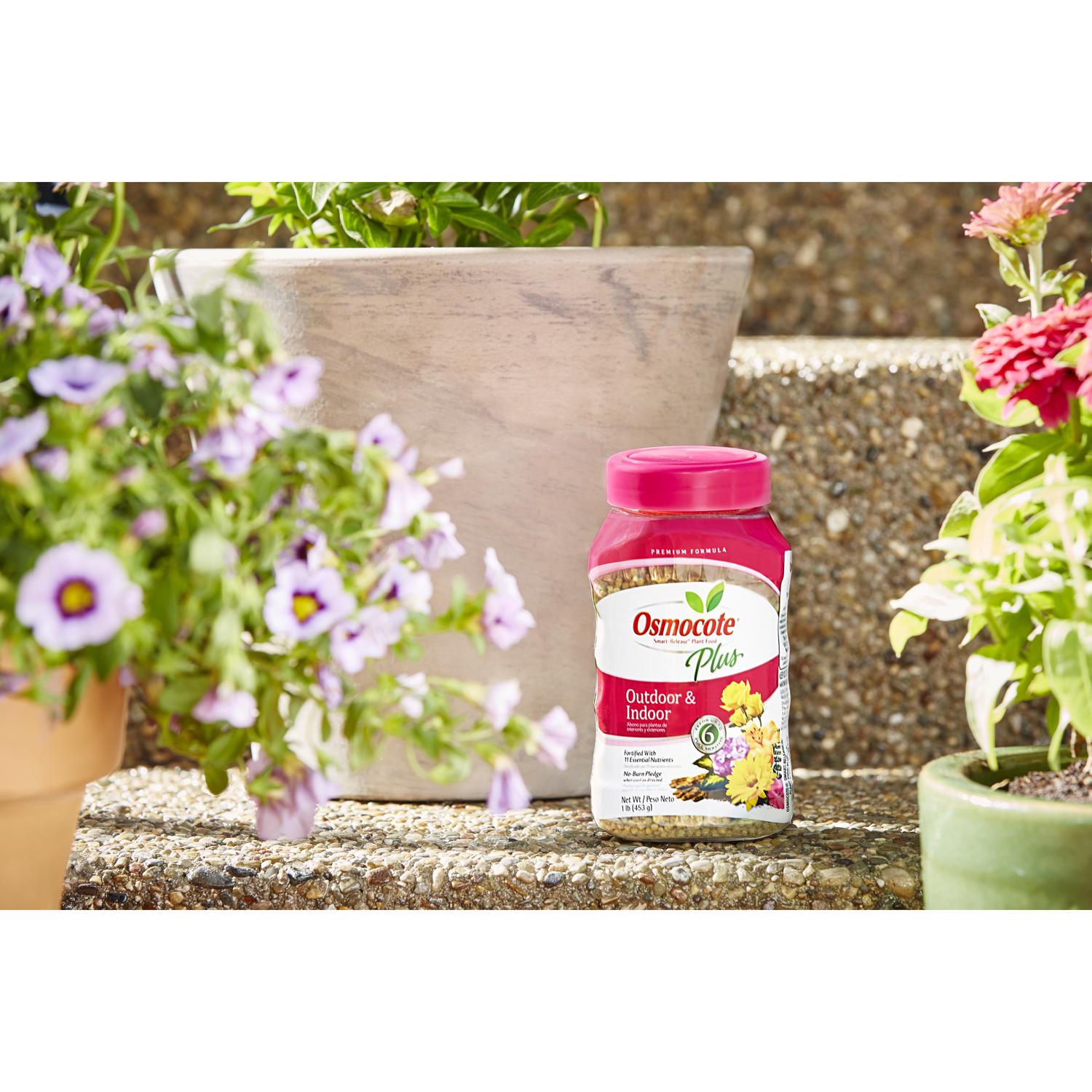 Osmocote Smart-Release Flower & Vegetable Granules Plant Food 1 lb