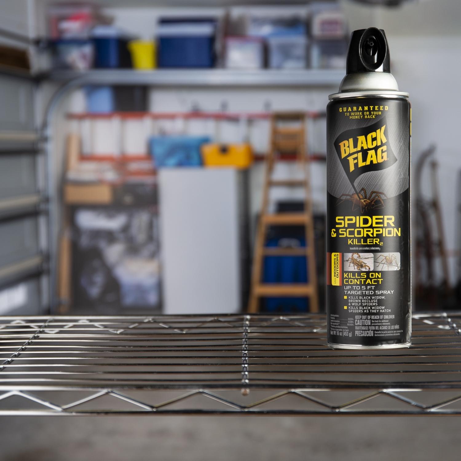 Black Flag Insect Killer Liquid 16 oz