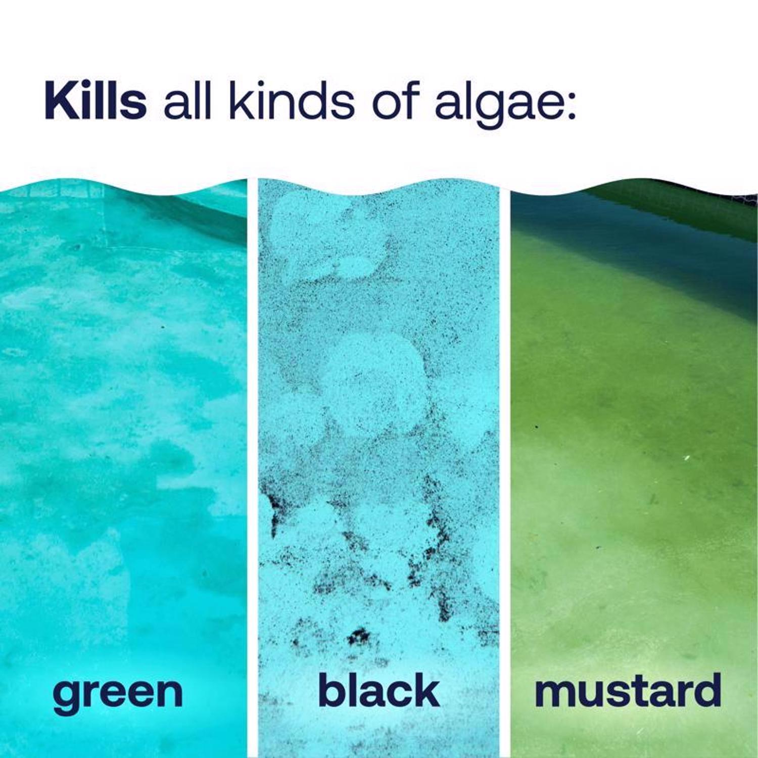 HTH Advanced Liquid Algae Guard 1 qt