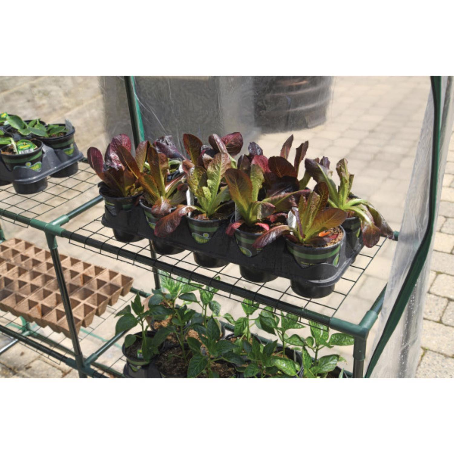 Miracle-Gro Clear 56 in. W X 56 in. D X 76 in. H Greenhouse