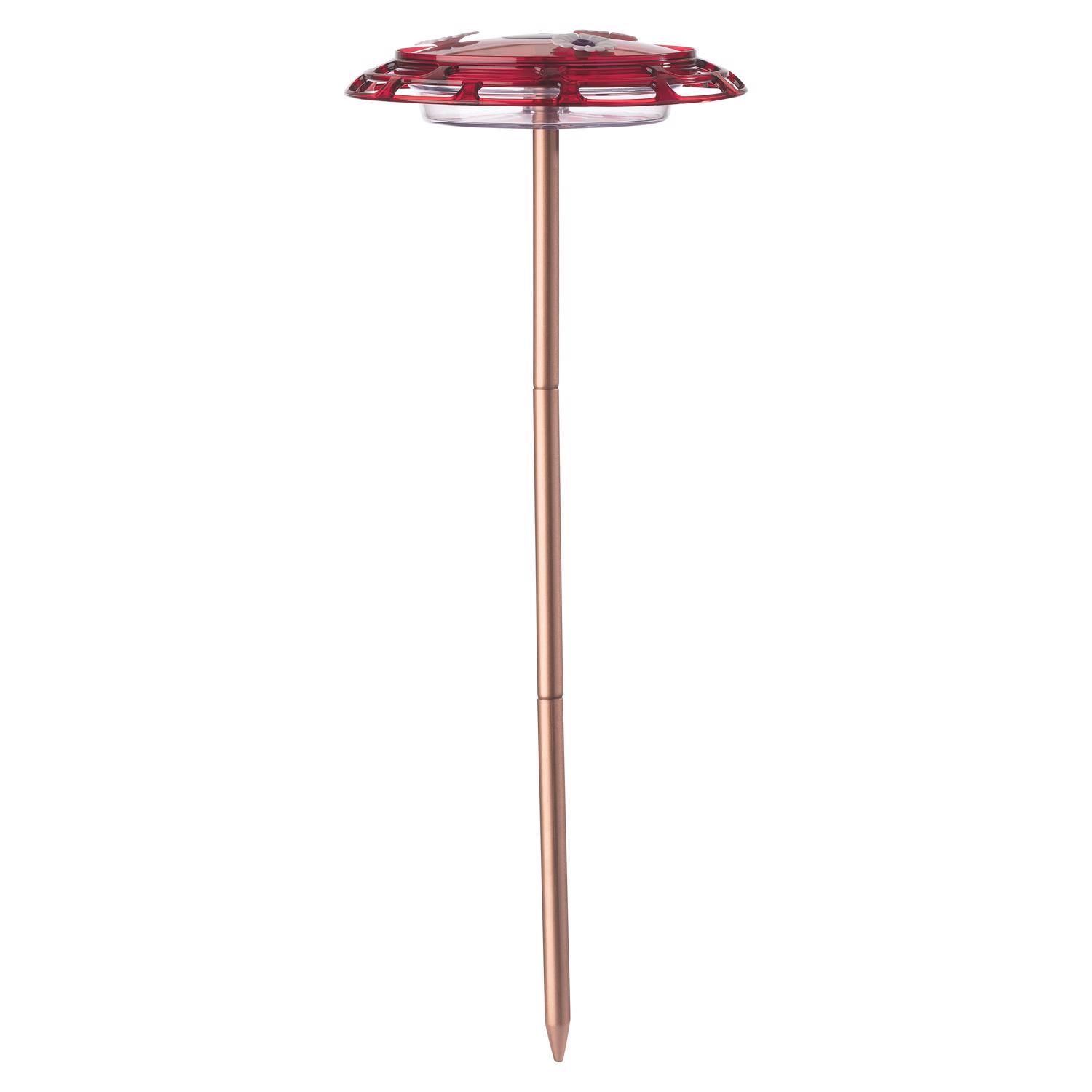 More Birds Hummingbird Plastic 3-in-1 Nectar Bird Feeder 3 ports