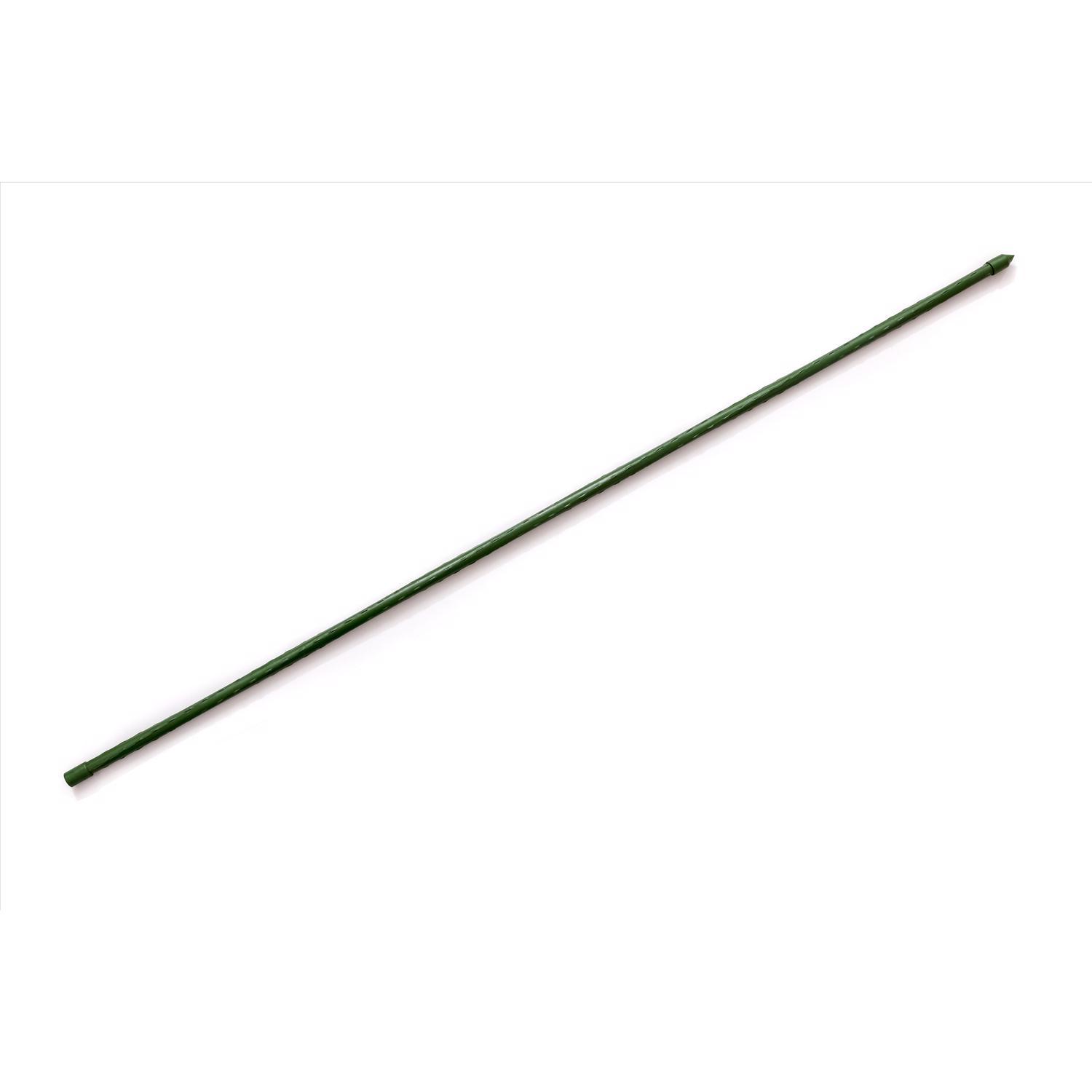 Gardener's Blue Ribbon 60 in. H X 0.5 in. W X 0.5 in. D Green Steel Plant Stake