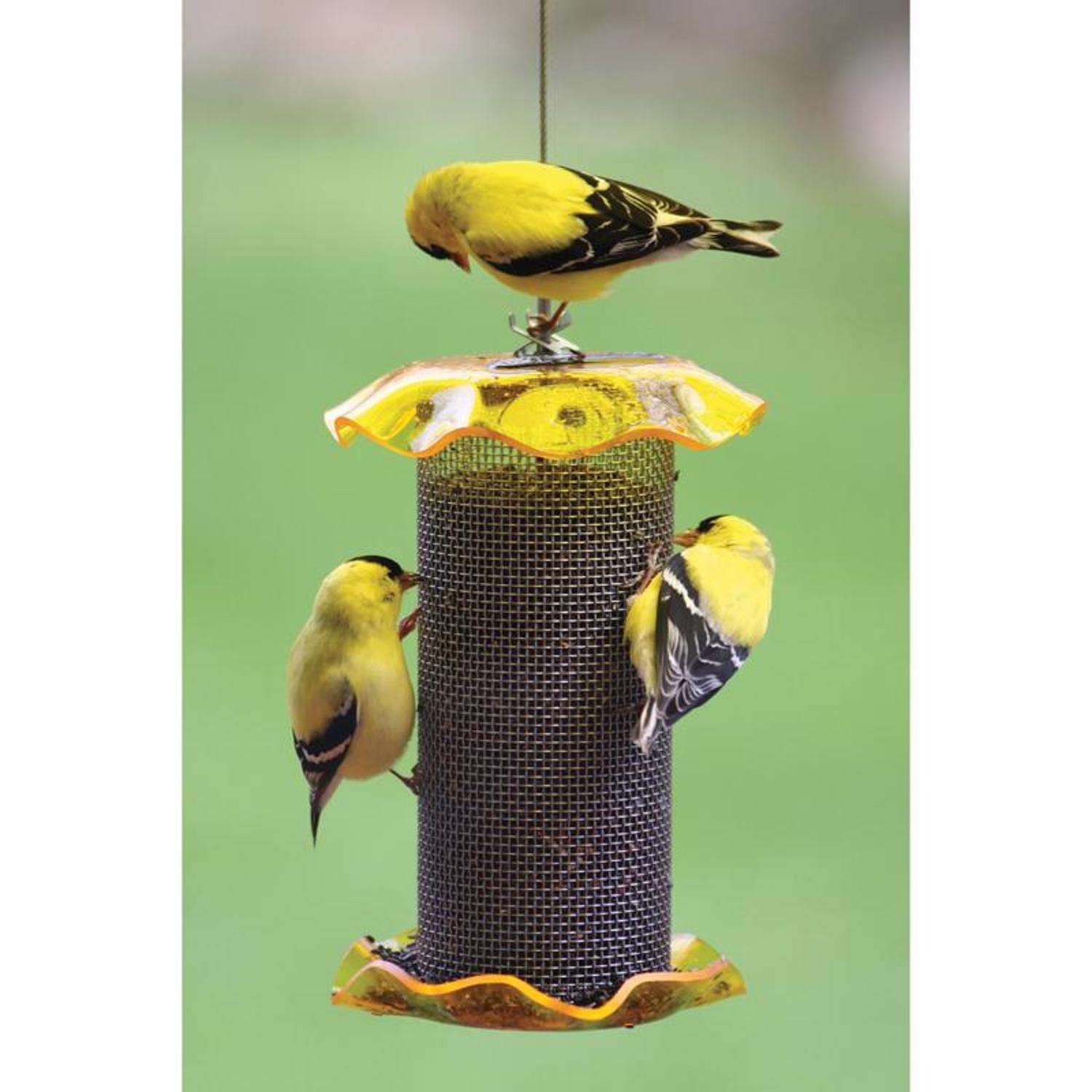 Birds Choice Forever Fin. 1 qt Plastic Magnet Mesh Tube Bird Feeder