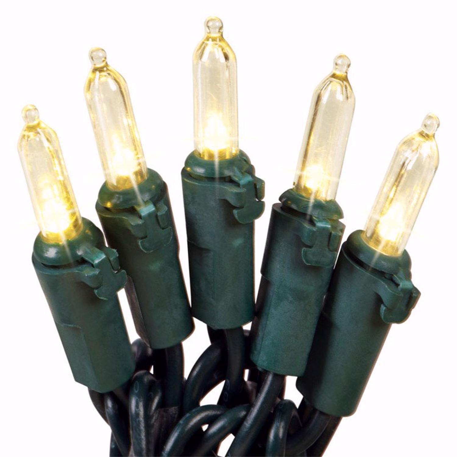 Celebrations Blue LED Mini Warm White 50 ct String Christmas Lights 12 ft.