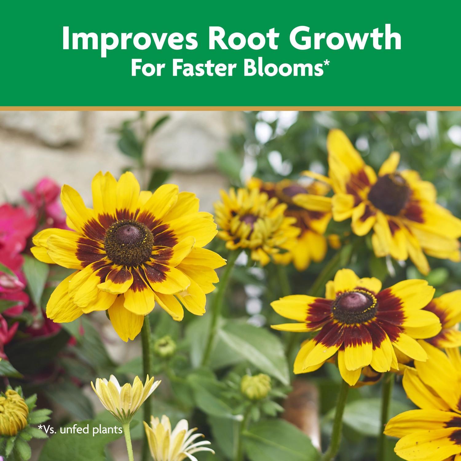 Miracle-Gro Quick Start Liquid Root Feeder 48 oz