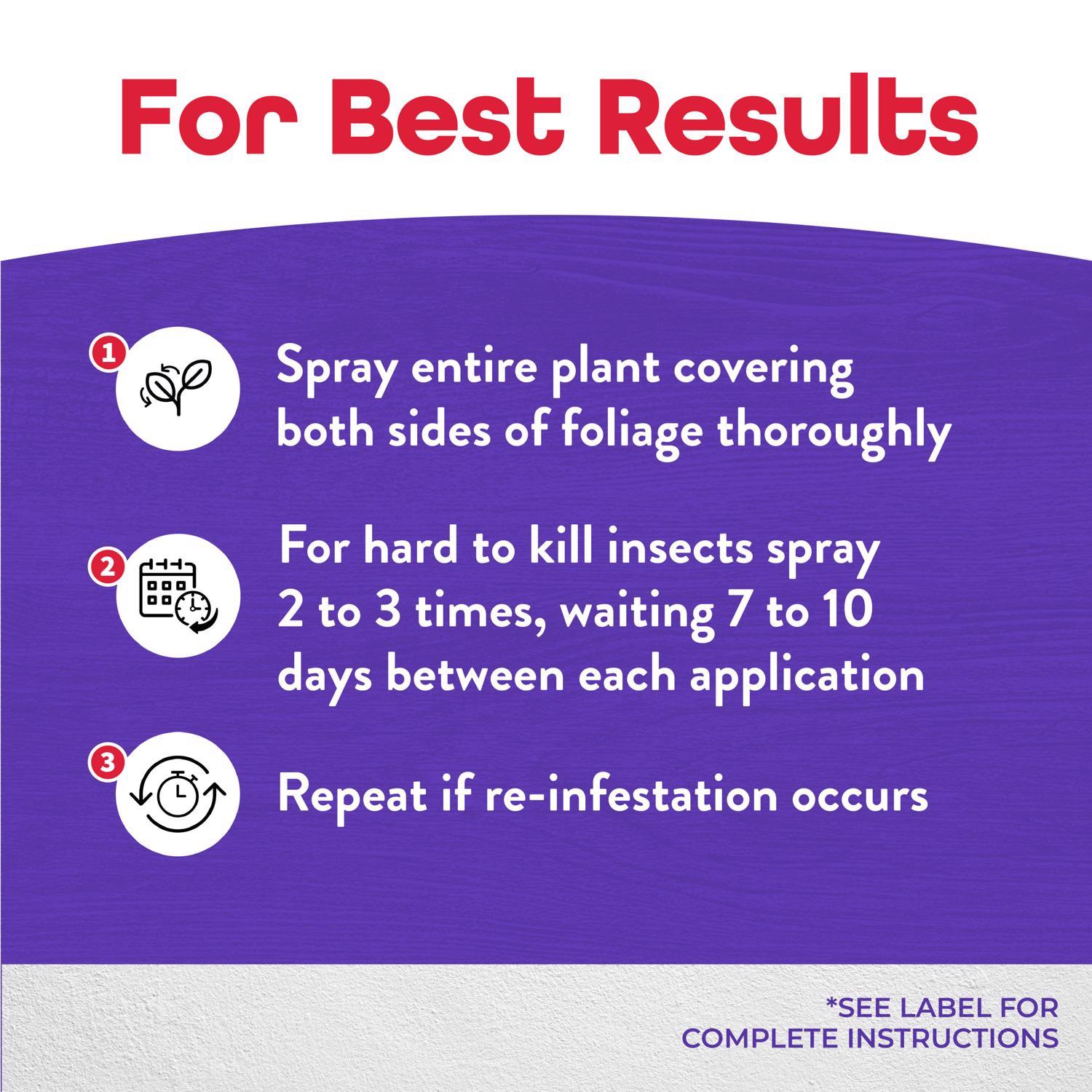 Bonide Systemic Spray Insect Killer Liquid Concentrate 1 pt