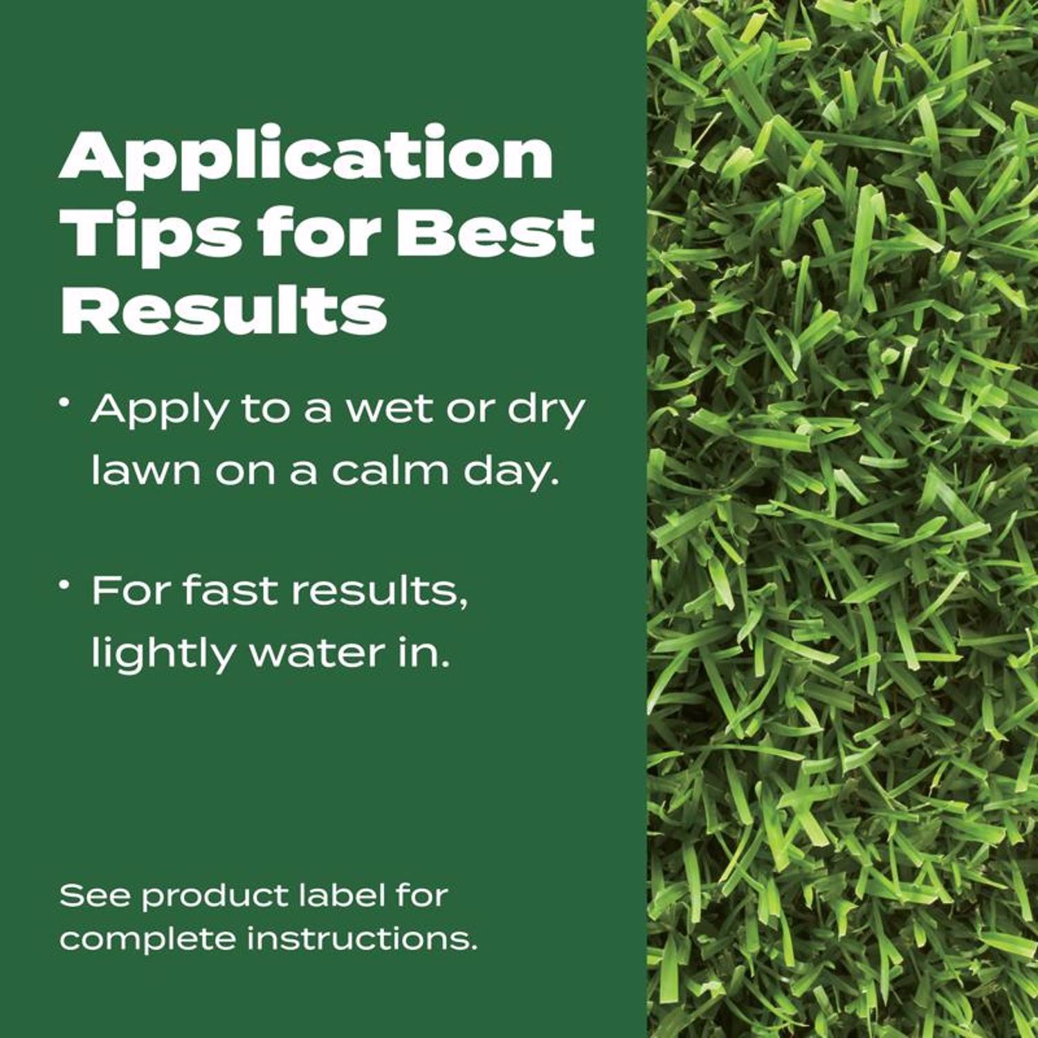 Scotts Turf Builder Southern All-Purpose Southern Lawn Food For All Grasses 10000 sq ft