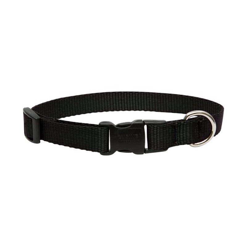 LupinePet Basic Solids Black Black Nylon Dog Adjustable Collar