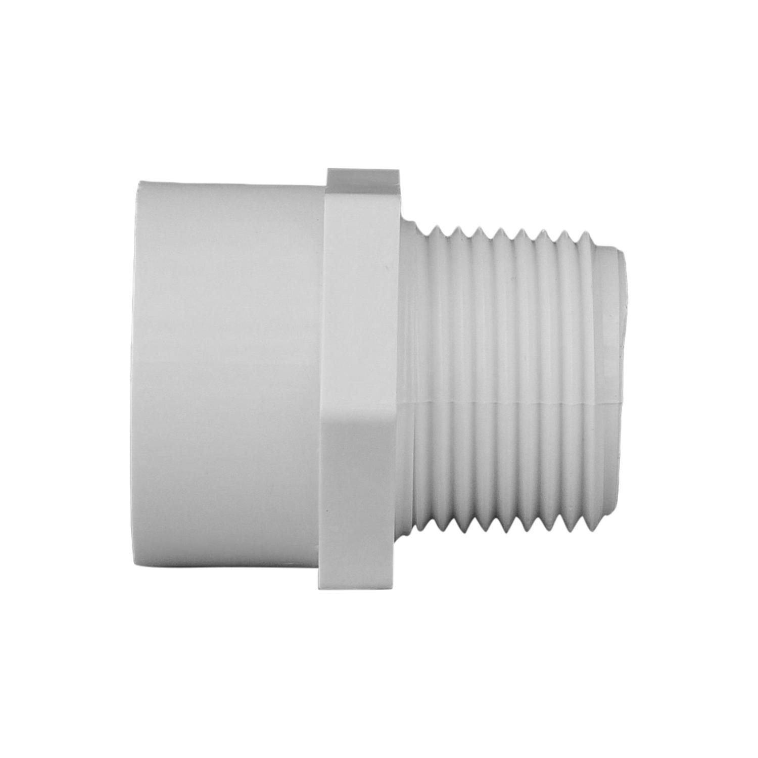Charlotte Pipe Schedule 40 3/4 in. Slip X 3/4 in. D MPT PVC Pipe Adapter 1 pk
