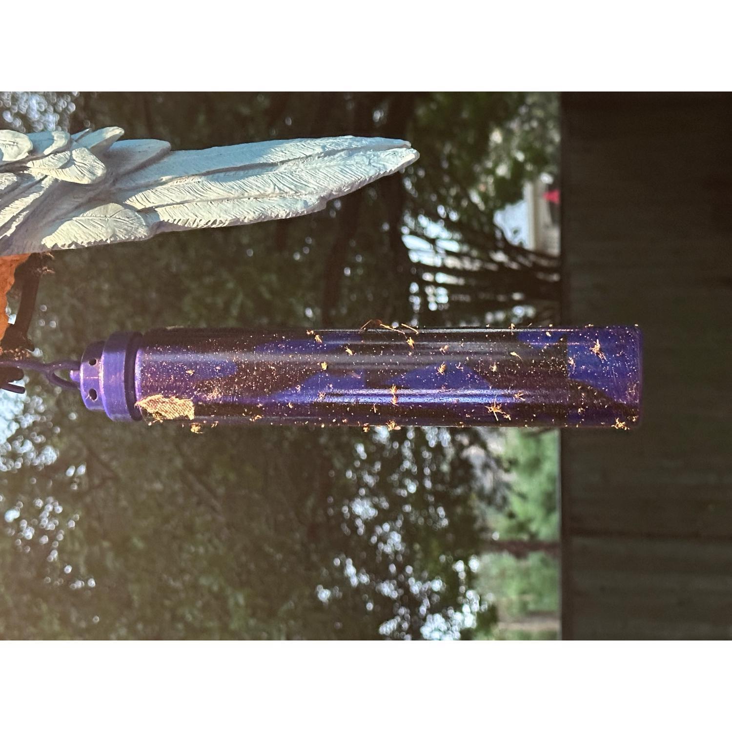 Aion Fly Trap 2 pk